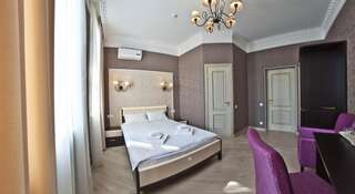 Отель Светлица Вологда Двухместный номер бизнес-класса с 1 кроватью-1